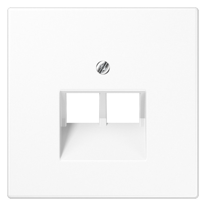 Накладка на розетку информационную Jung LS 990, скрытый монтаж, белый, LS969-2UAWW